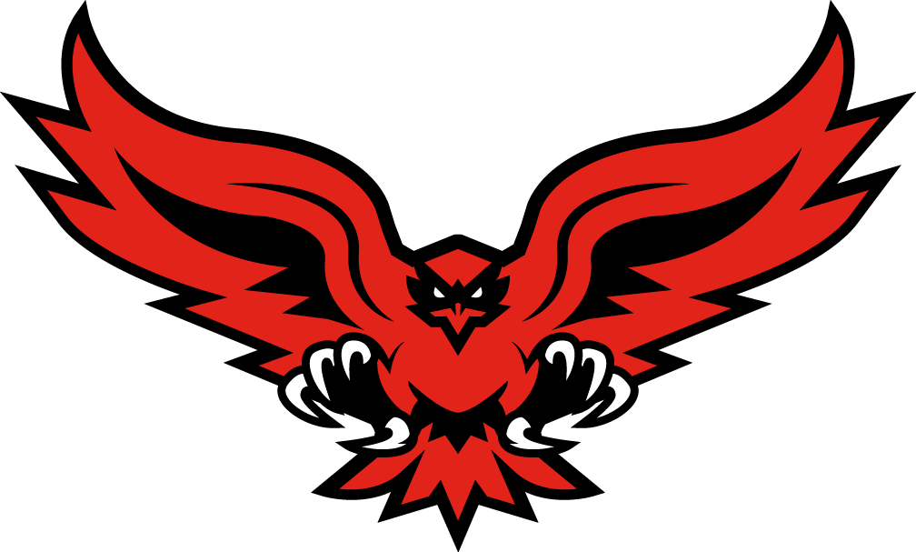 Hartford Hawks 2015-Pres Alternate Logo v2 diy DTF decal sticker